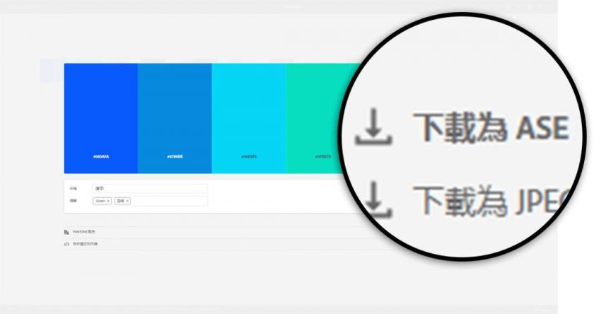 我删除了所有配色网站,只留下这一个