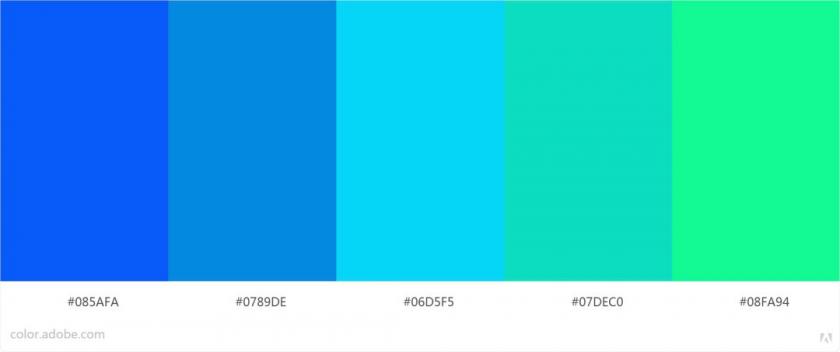 我删除了所有配色网站,只留下这一个