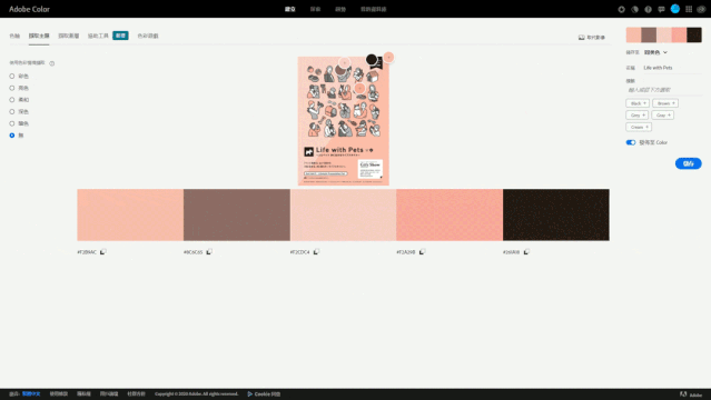 我删除了所有配色网站,只留下这一个
