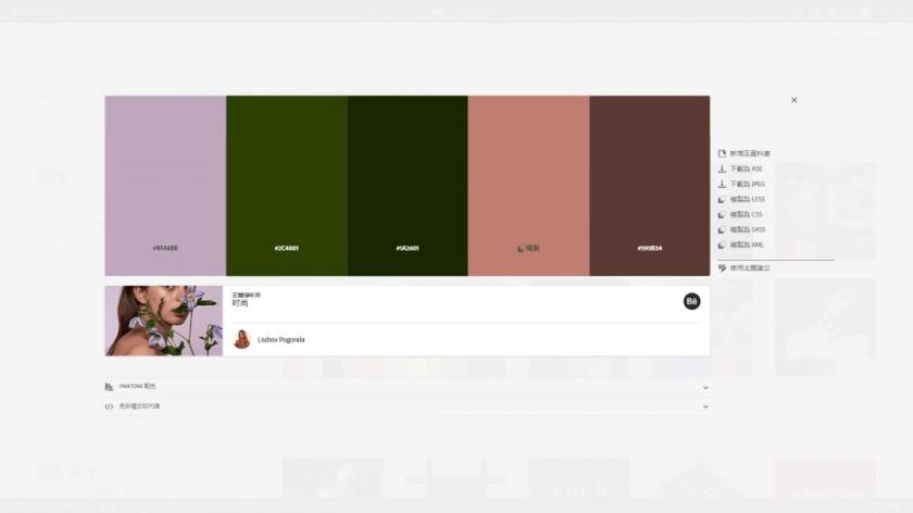 我删除了所有配色网站,只留下这一个
